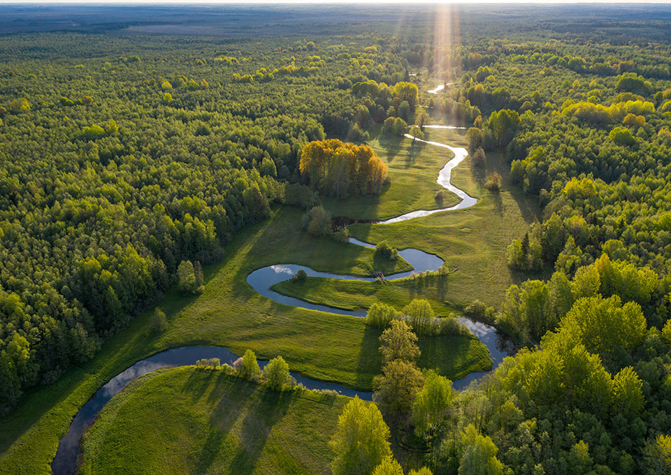 Estlands natur om sommeren